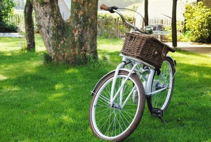 Imagen general del Hotel Killashee. Foto 5