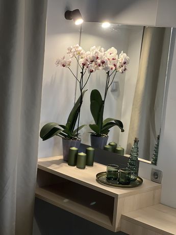 Imagen de los interiores del Hotel Kimiro Tsilivi. Foto 17