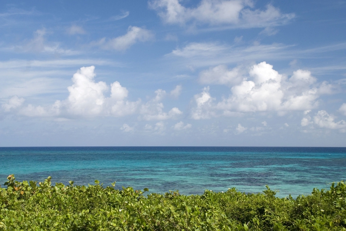 Imagen de la habitación del Hotel Kimpton Seafire Resort and Spa, An Ihg. Foto 6