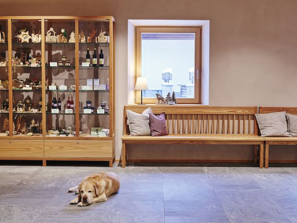 Imagen de los interiores del Hotel Kinderhotel Stegerhof. Foto 20