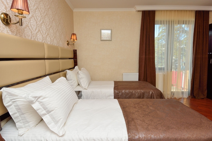 Imagen de la habitación del Hotel King David Bakuriani. Foto 7