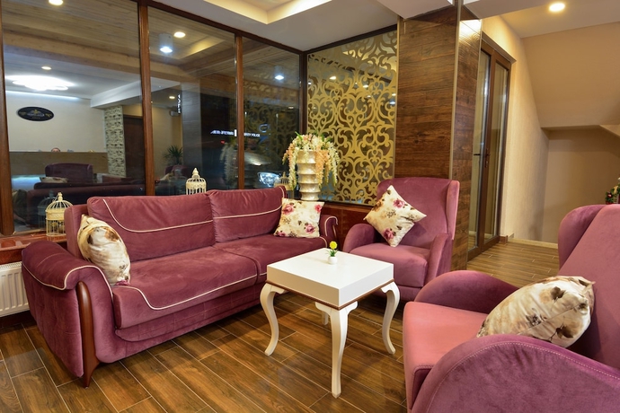 Imagen de los interiores del Hotel King David Bakuriani. Foto 16