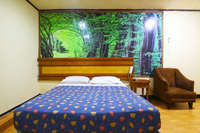 Imagen de la habitación del Hotel King Stone. Foto 13
