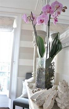 Imagen general del Hotel Kings Boutique. Foto 3