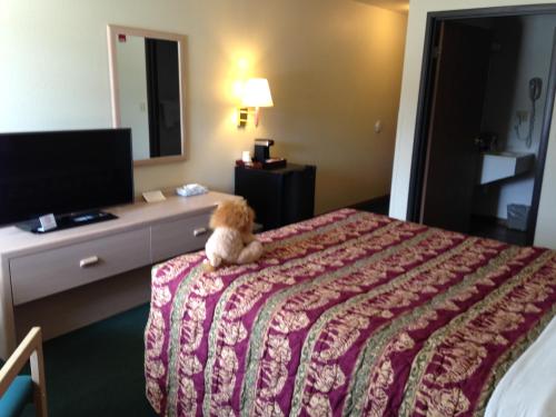 Imagen de la habitación del Hotel Kings Inn Cody. Foto 9
