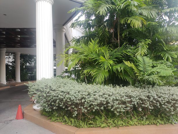 Imagen general del Hotel Kingston Inn. Foto 3