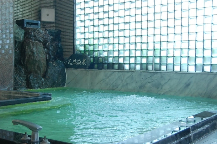 Imagen de la piscina del Hotel Kinpokan. Foto 13