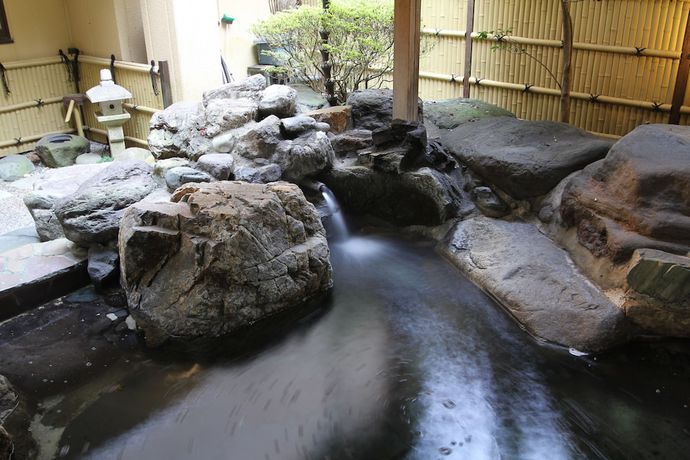 Imagen general del Hotel Kinu. Foto 8