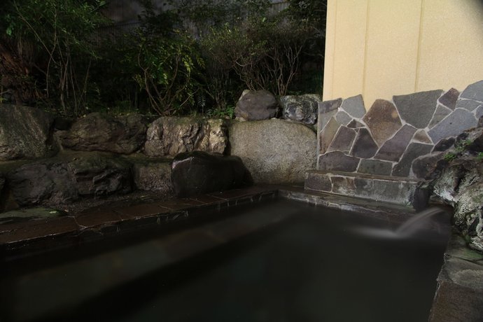 Imagen general del Hotel Kinu. Foto 9