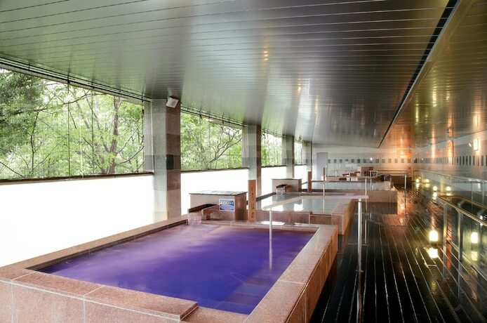 Imagen general del Hotel Kinugawa Kanko. Foto 1