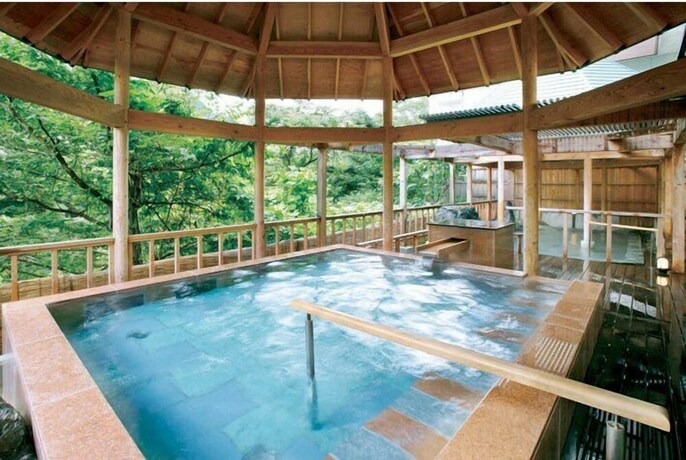 Imagen general del Hotel Kinugawa Kanko. Foto 2