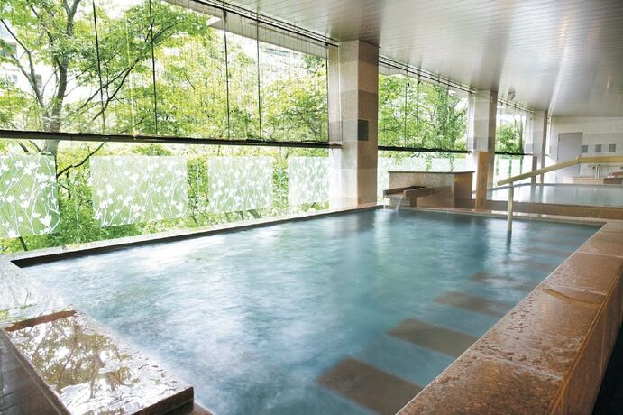 Imagen general del Hotel Kinugawa Kanko. Foto 4