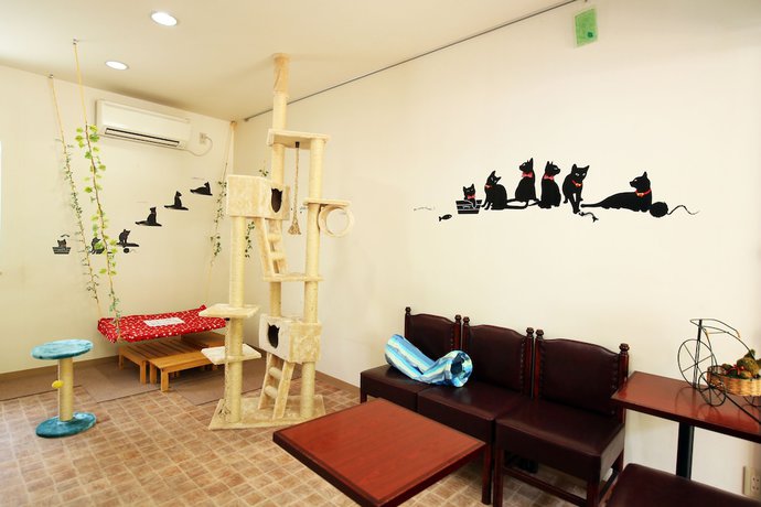Imagen general del Hotel Kinugawa Kokusai. Foto 1