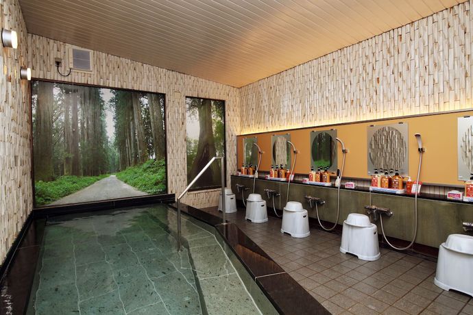 Imagen de la piscina del Hotel Kinugawa Kokusai. Foto 12