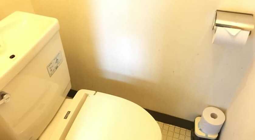 Imagen de la habitación del Hotel Kinugawa Niouson Plaza. Foto 5