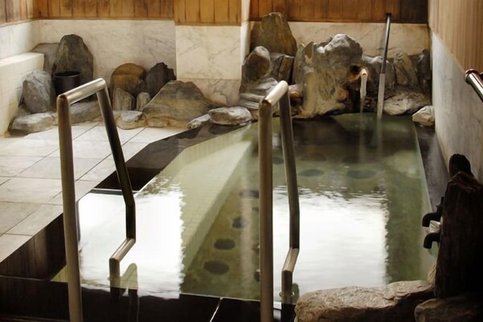 Imagen de la piscina del Hotel Kinugawa Niouson Plaza. Foto 17