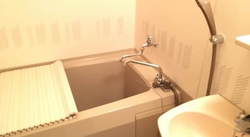 Imagen de la habitación del Hotel Kinugawa Niouson Plaza. Foto 8