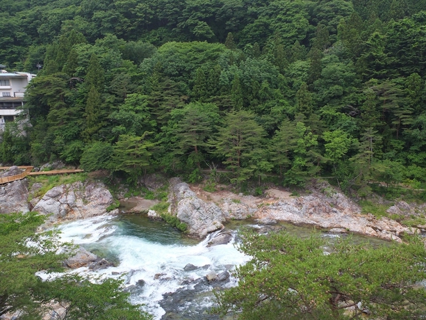 Imagen de la habitación del Hotel Kinugawaonsen Hananoyado Matsuya. Foto 13