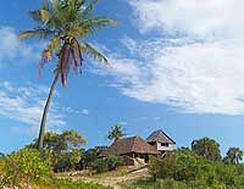 Imagen de los exteriores del Hotel Kipungani Explorer. Foto 4