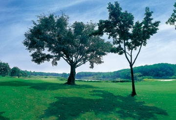 Imagen general del Hotel Kirimaya Golf Resort and Spa. Foto 2