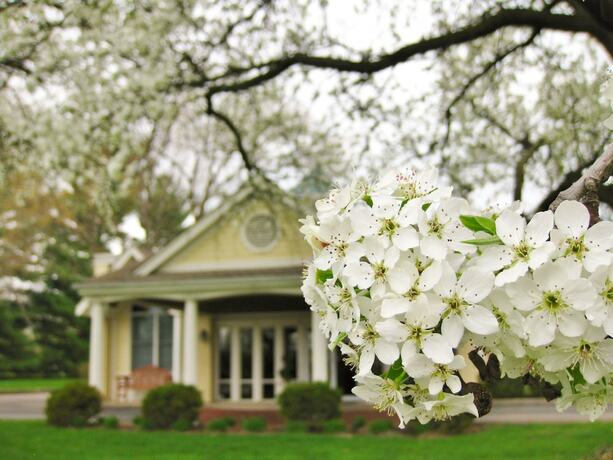 Imagen general del Hotel Kirkwood Inn. Foto 15