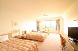 Imagen de la habitación del Hotel Kishu Minabe Royal. Foto 5