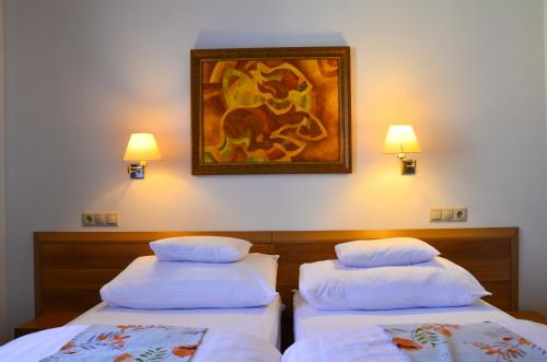 Imagen general del Hotel Kiss, Tatabanya. Foto 2