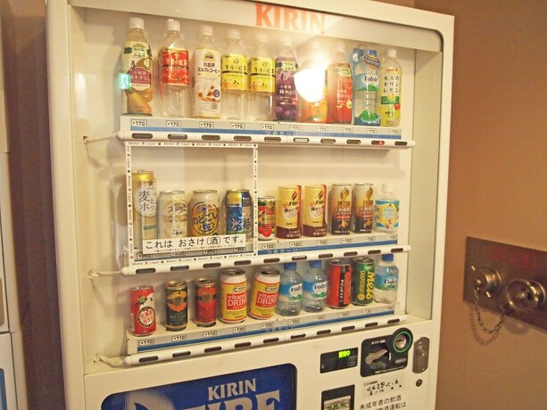 Imagen de los interiores del Hotel Kitami Daiichi. Foto 18