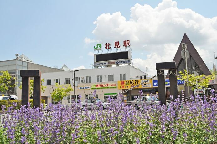 Imagen de los exteriores del Hotel Kitami Daiichi. Foto 13