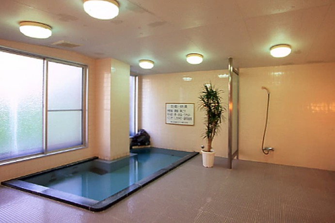 Imagen de la piscina del Hotel Kitashiga Holiday Inn. Foto 20