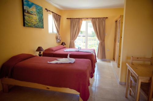 Imagen de la habitación del Hotel Kite Beach Inn. Foto 2