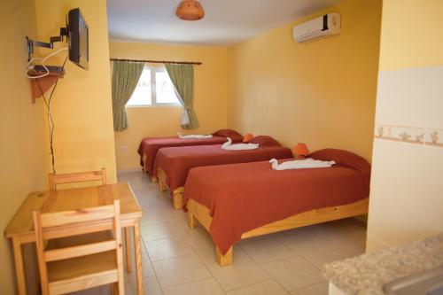 Imagen de la habitación del Hotel Kite Beach Inn. Foto 3