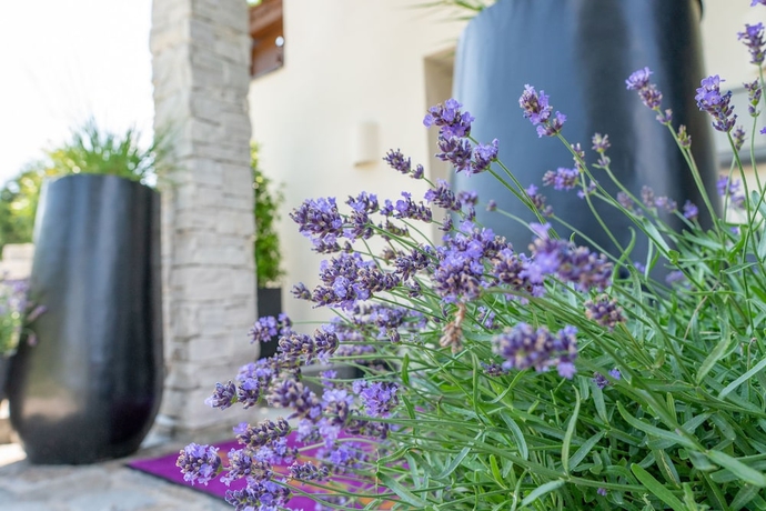 Imagen de los interiores del Hotel Kitz Garni Boutique. Foto 19