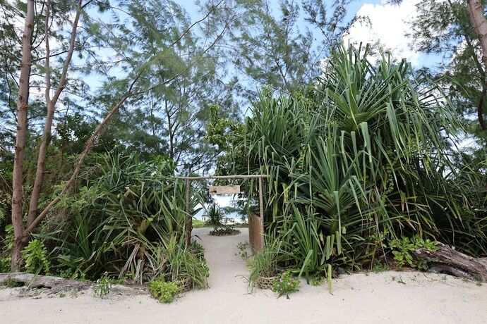 Imagen general del Hotel Kivuli Beach Resort Paje. Foto 10