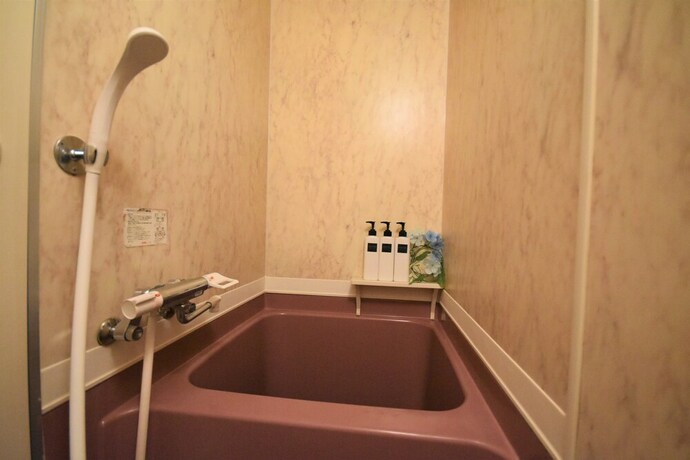 Imagen de la habitación del Hotel Kiyaza Road Sapporo. Foto 12