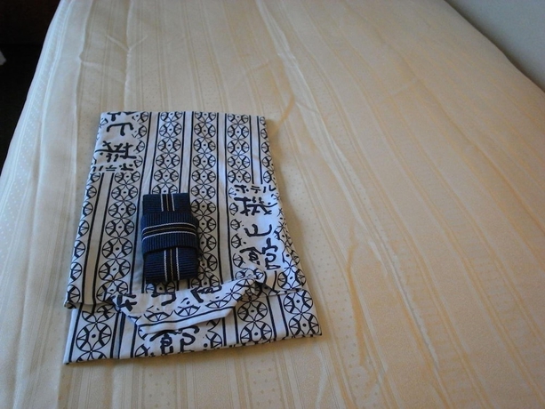 Imagen de la habitación del Hotel Kizankan. Foto 13