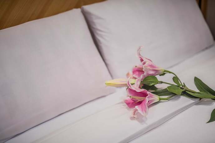 Imagen general del Hotel Kks. Foto 10