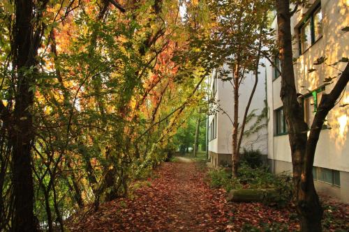 Imagen general del Hotel Klaus im Weinviertel. Foto 13