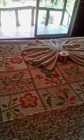 Imagen general del Hotel Klong Khong Garden. Foto 8