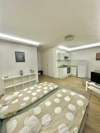 Imagen general del Hotel Klosterneuburger Studio. Foto 4