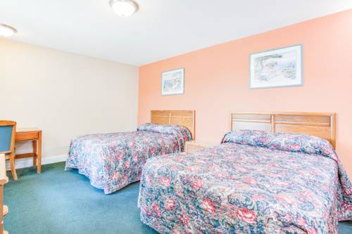 Imagen de la habitación del Hotel Knights Inn Horseheads. Foto 10