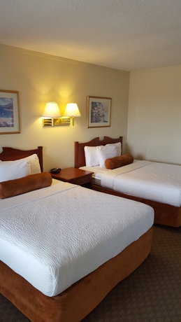 Imagen de la habitación del Hotel Knights Inn Lethbridge. Foto 8