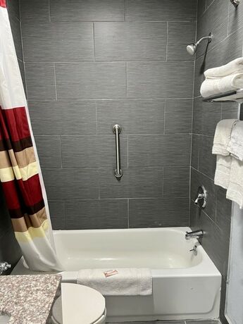 Imagen general del Hotel Knights Inn Madison Heights, Va. Foto 2