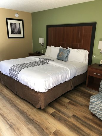 Imagen de la habitación del Hotel Knight\'s Inn Motel. Foto 11