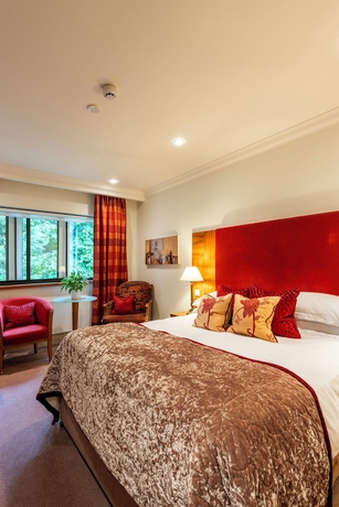 Imagen de la habitación del Hotel Knights Suite Rooms and Events. Foto 2