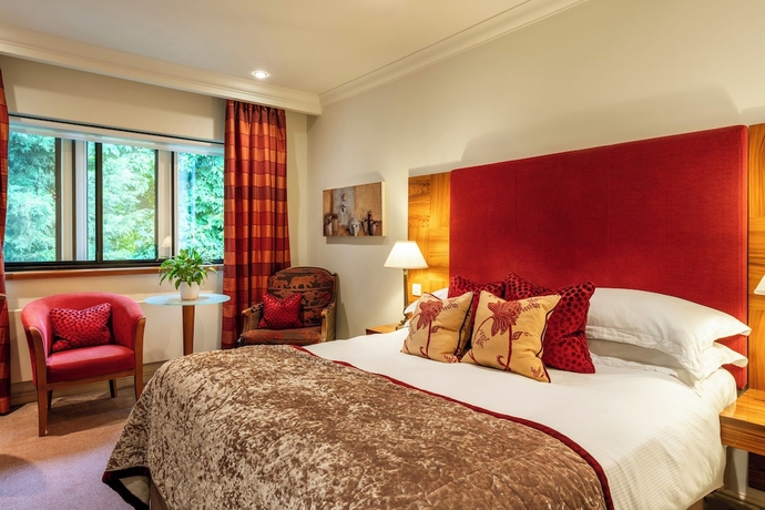 Imagen de la habitación del Hotel Knights Suite Rooms and Events. Foto 12