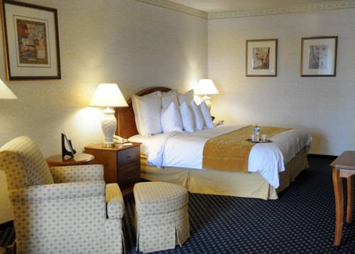 Imagen de la habitación del Hotel Knoxville. Foto 9