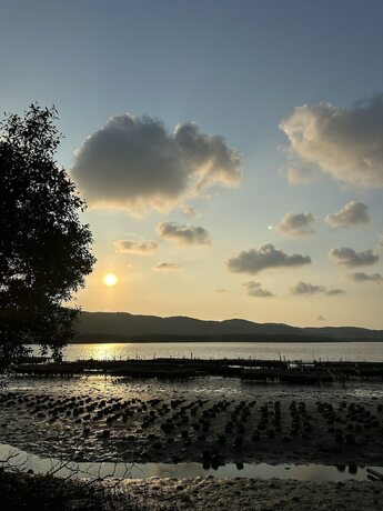 Imagen general del Hotel Ko Nokyai Resort. Foto 2