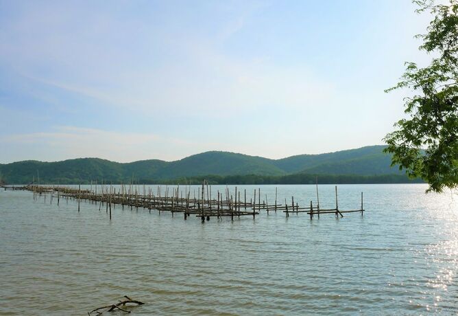 Imagen general del Hotel Ko Nokyai Resort. Foto 5