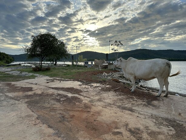 Imagen general del Hotel Ko Nokyai Resort. Foto 16